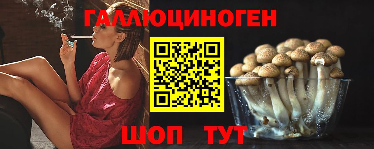 Псилоцибиновые грибы Psilocybe  Вход с VPN  Славянск-на-Кубани 